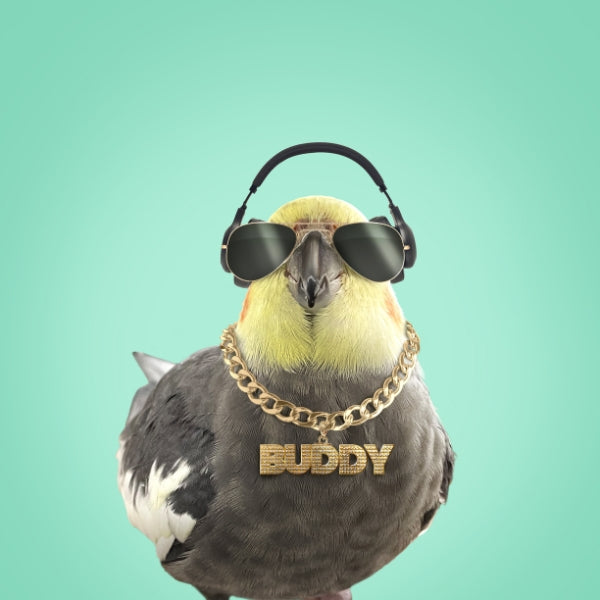 Buddy the Birdy Plushie