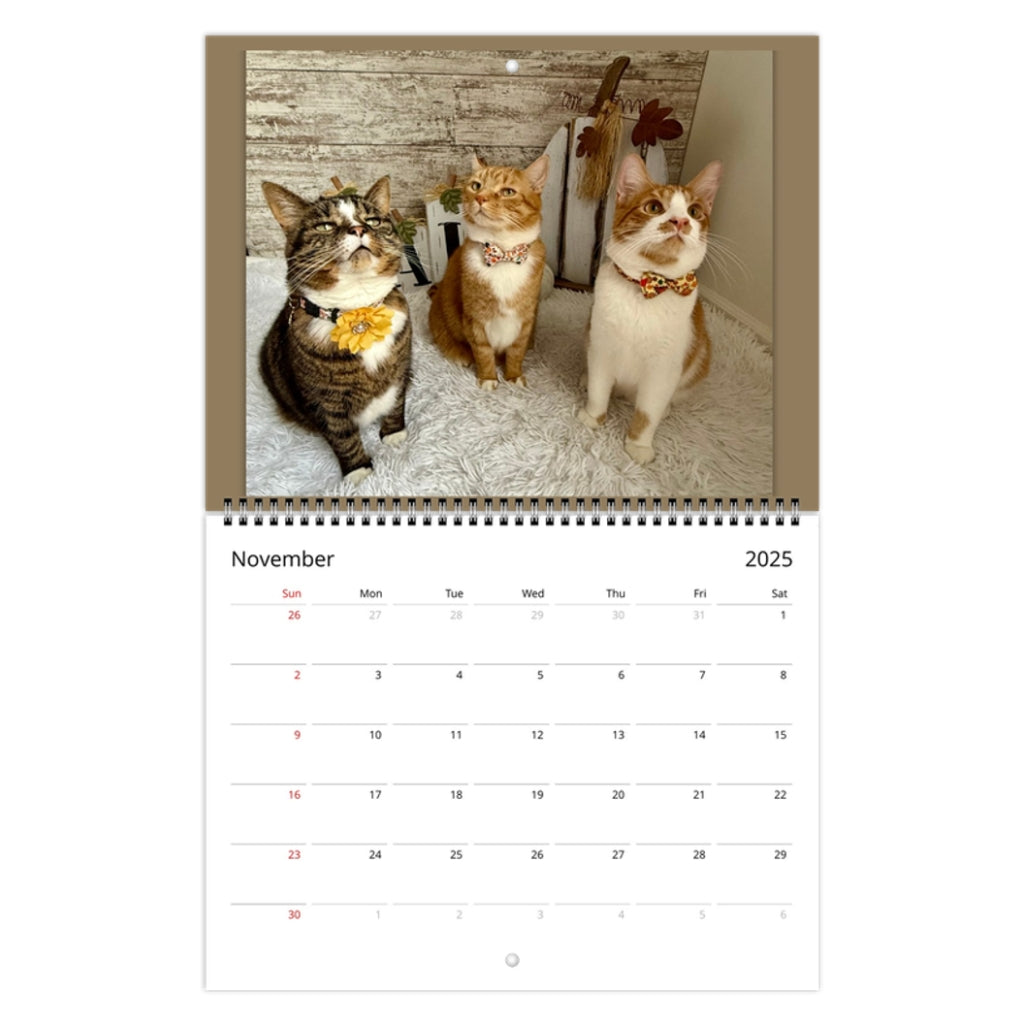 Kona, Kai & Kaleo 2025 Kalendar