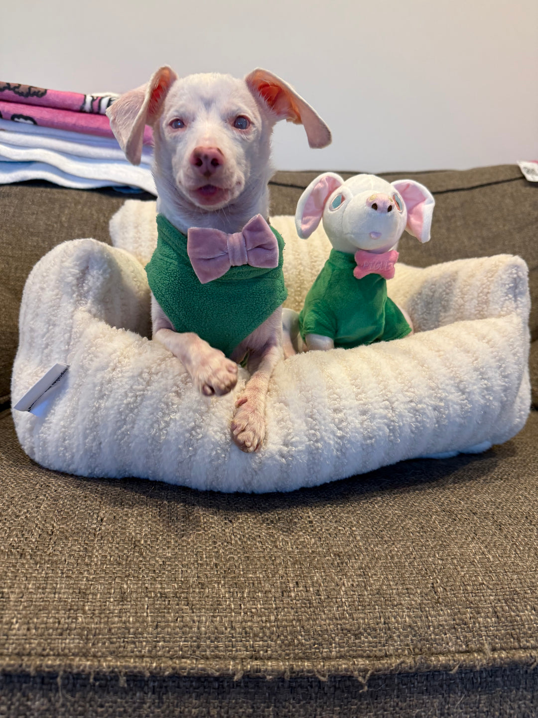 Piglet "Pink Puppy" Plush