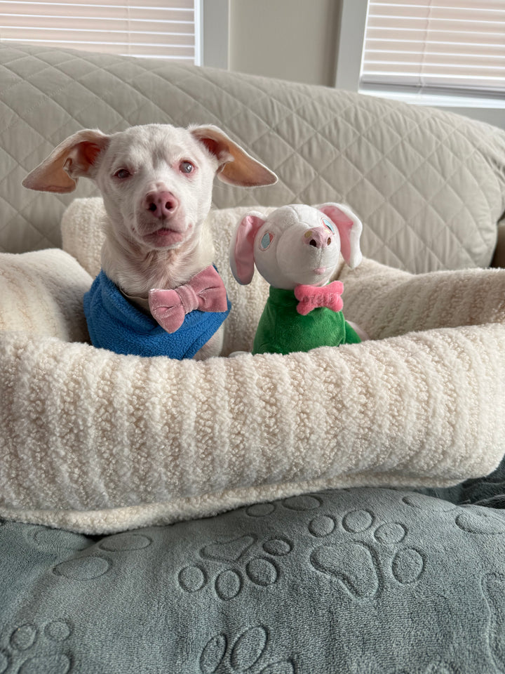 Piglet "Pink Puppy" Plush